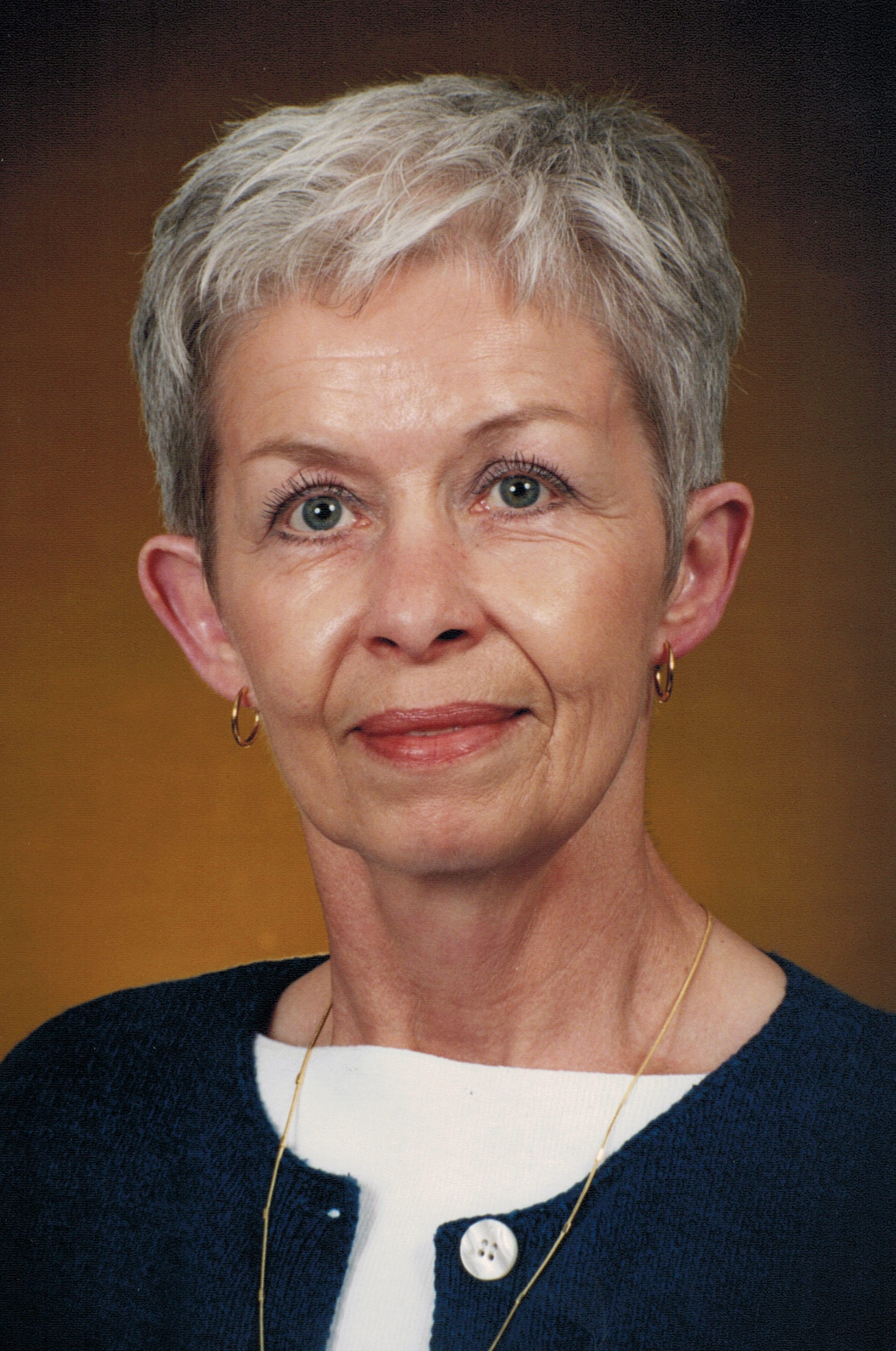 Washington Pennsylvania Observer Reporter Obituaries - gq3xdt8